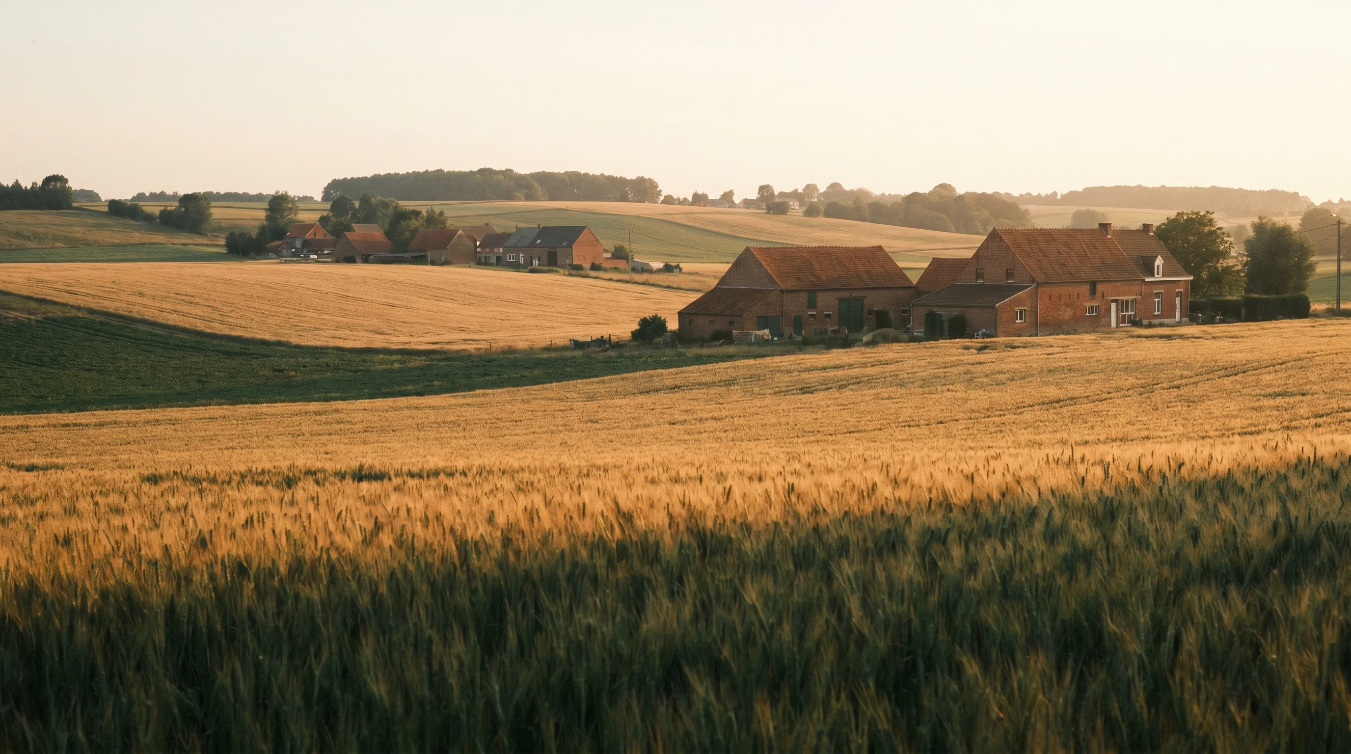 Paysage de la province de Brabant wallon au coucher du soleil